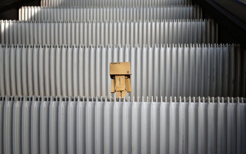 Danbo on escalator steps