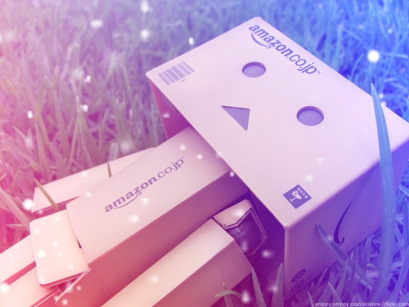 Danbo on grass with Amazon box