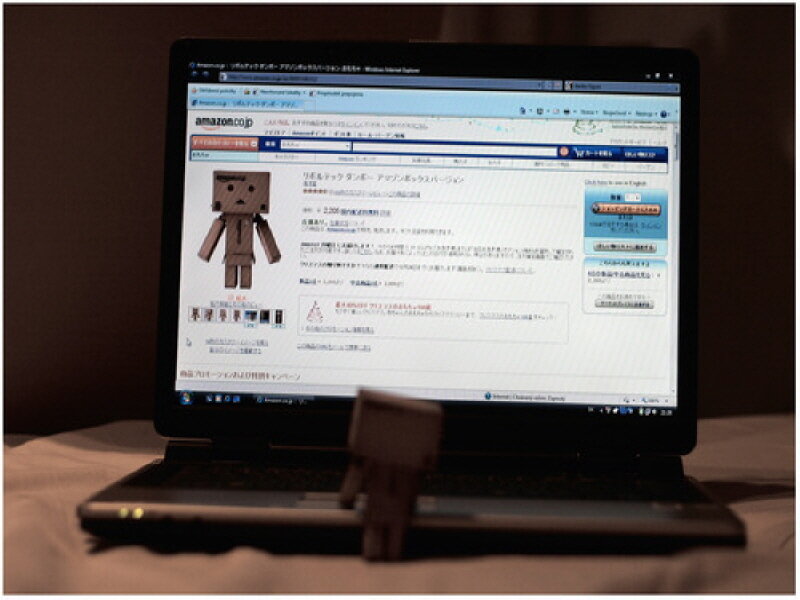 Danbo on laptop screen