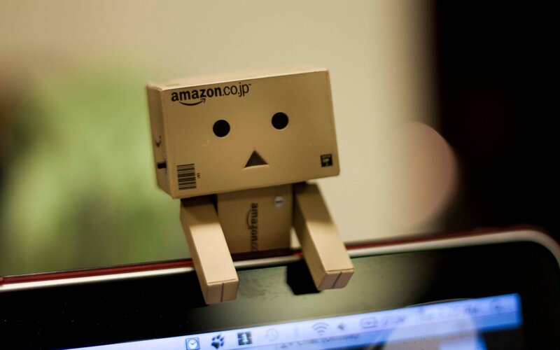 Danbo on laptop screen