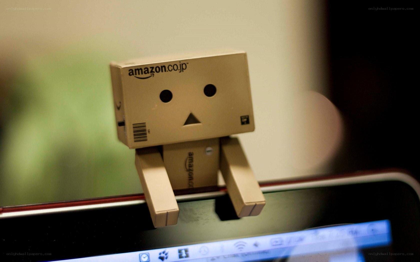 Danbo on laptop screen
