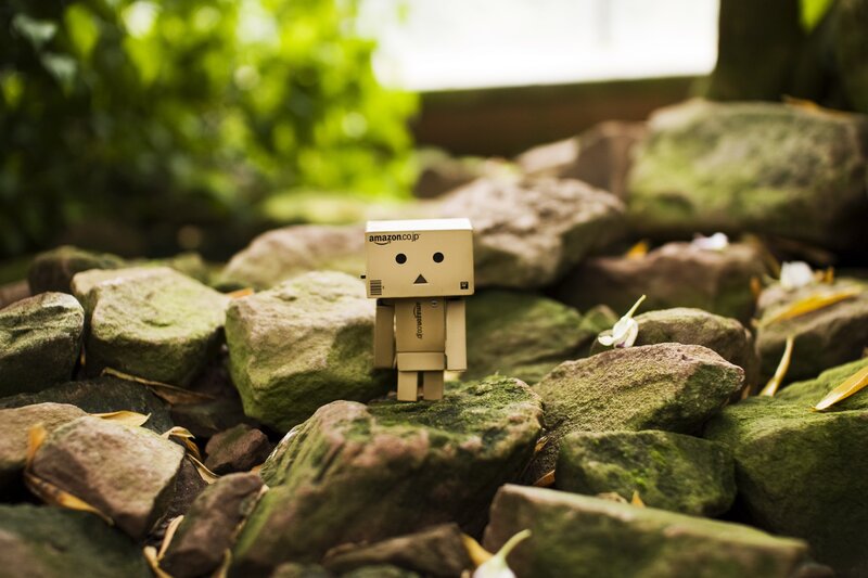 Danbo on mossy rocks
