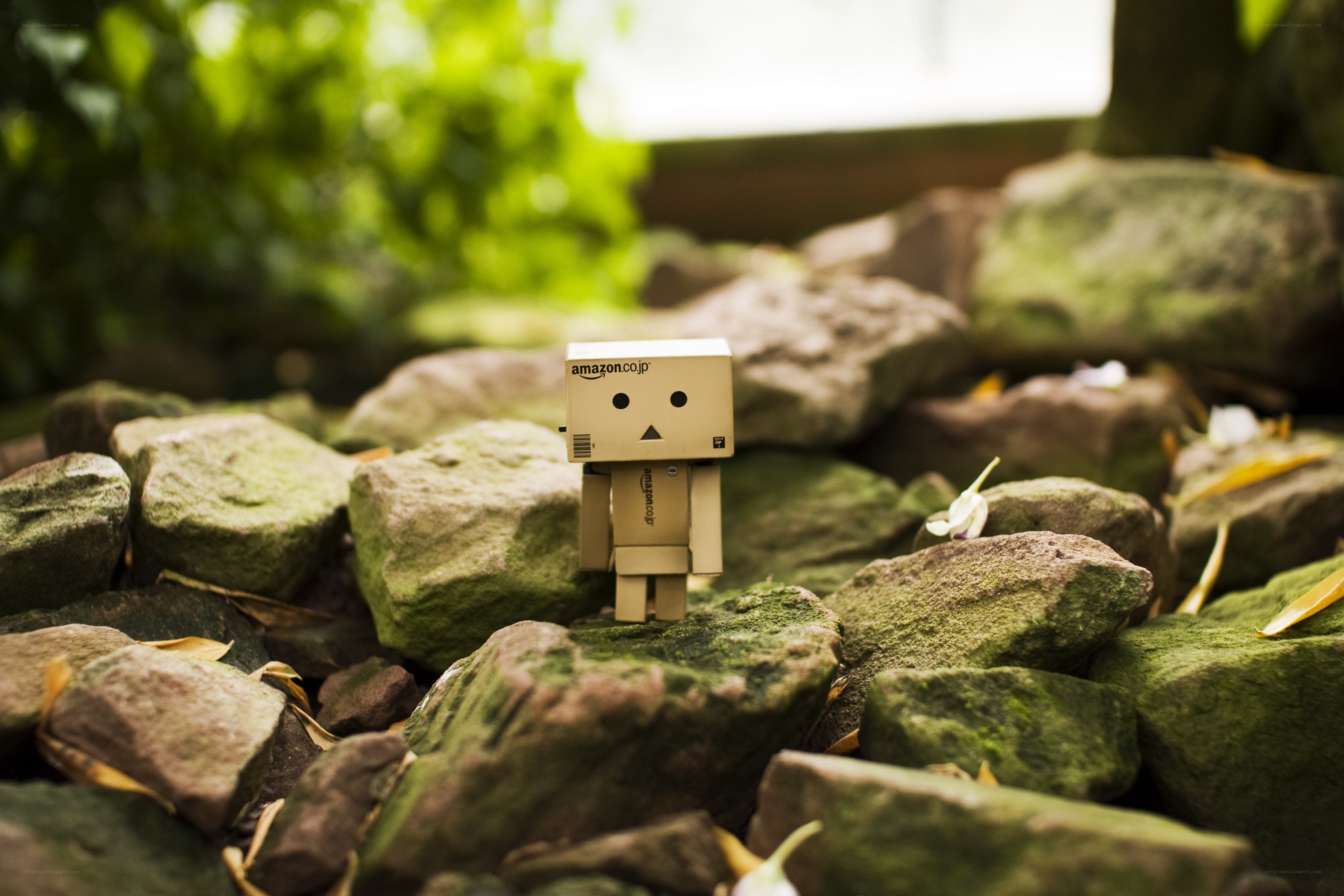 Danbo on mossy rocks