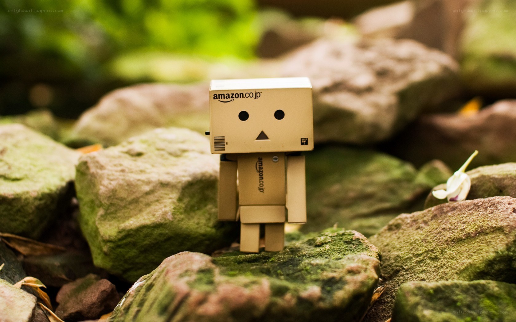Danbo on mossy rocks