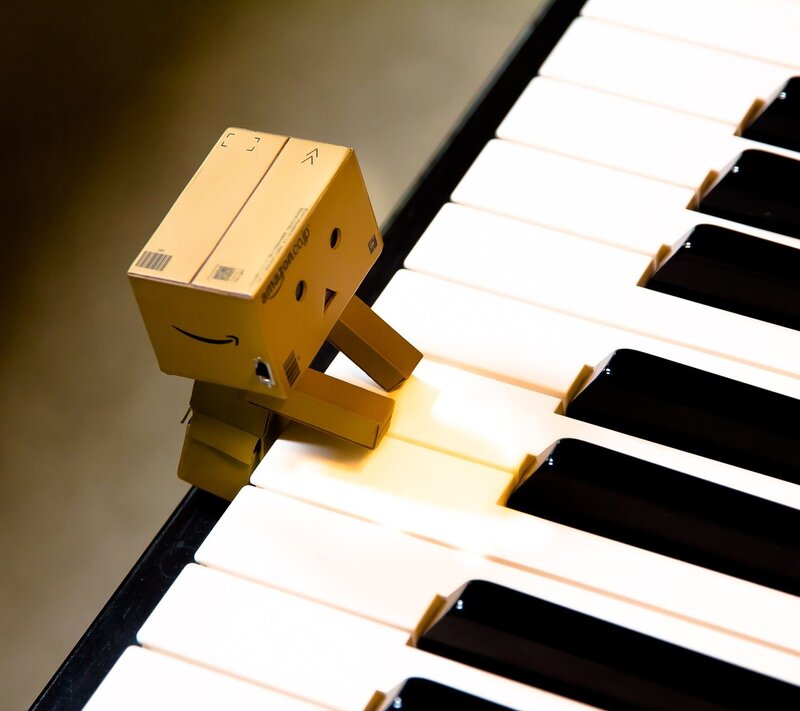Danbo on Piano Keys