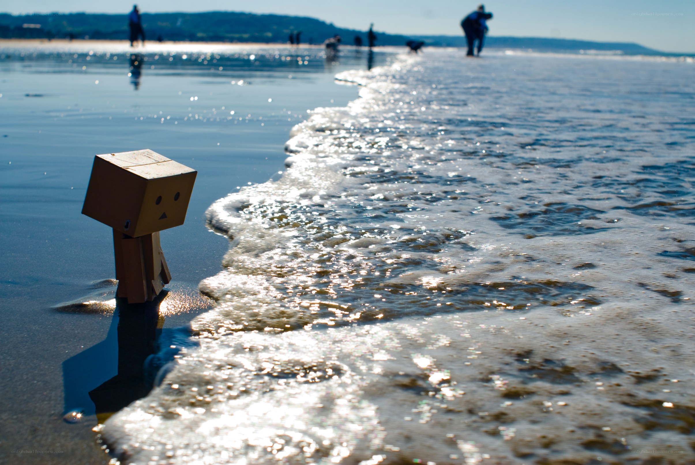 Danbo on the beach