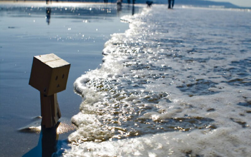 Danbo on the beach