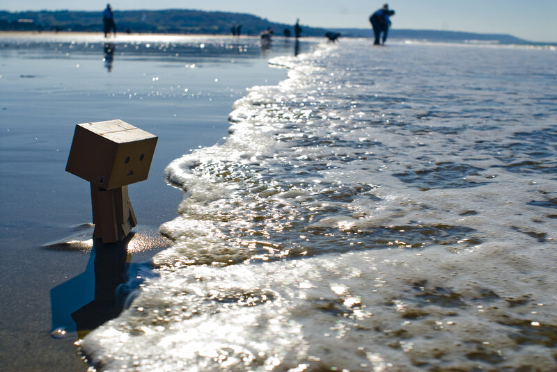 Danbo on the beach