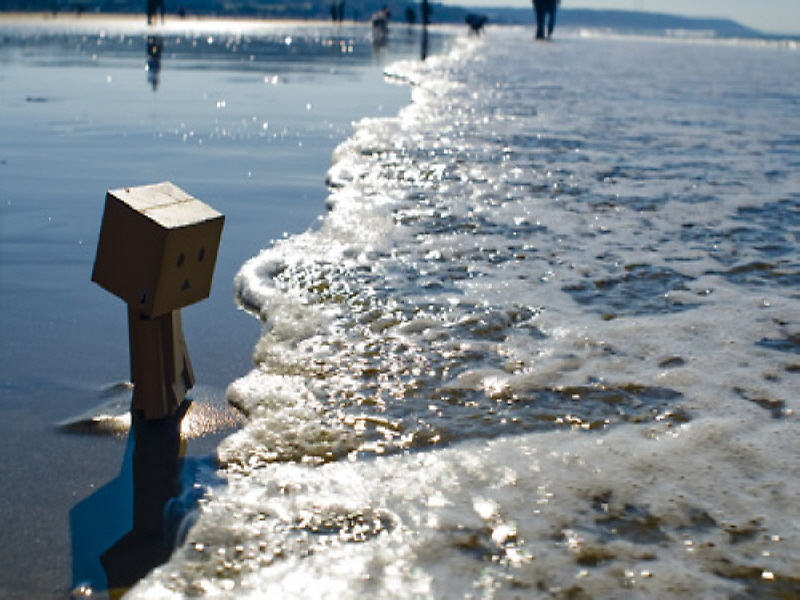 Danbo on the beach
