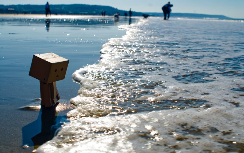 Danbo on the beach
