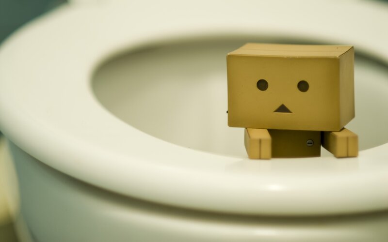 Danbo on toilet seat