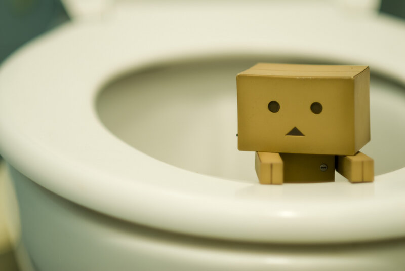 Danbo on toilet seat