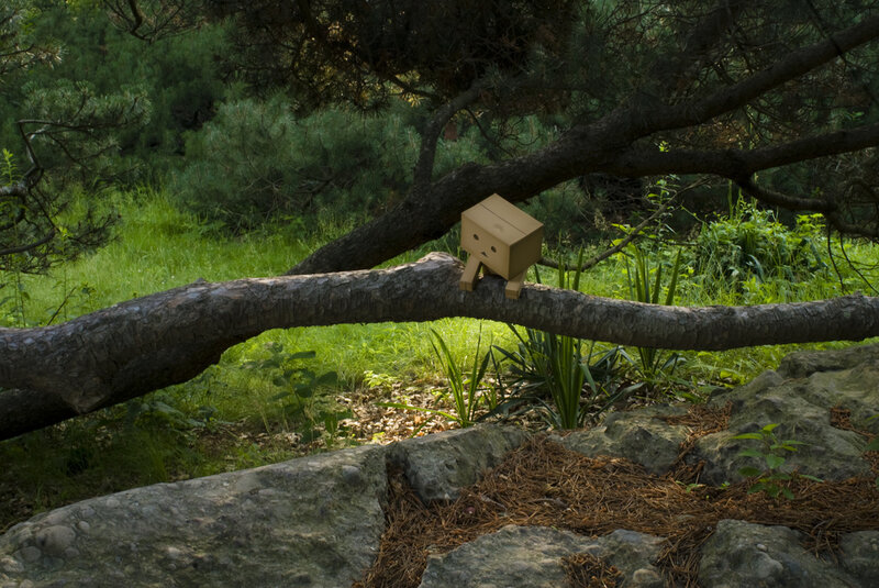 Danbo on Tree Branch