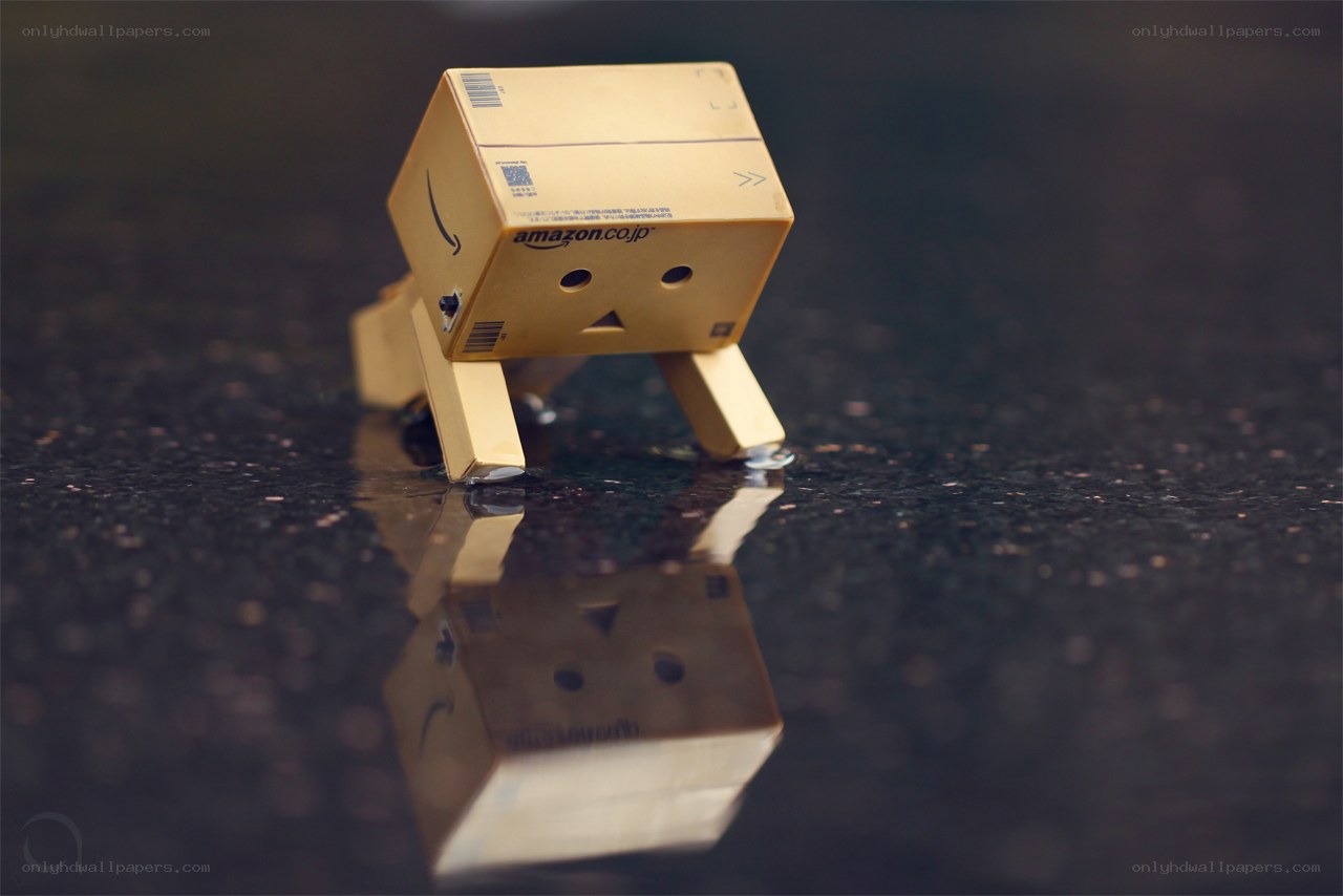 Danbo on wet pavement