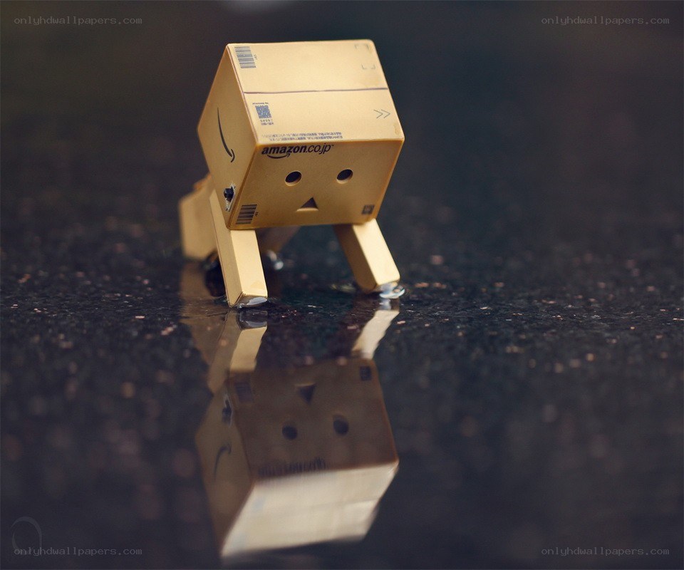 Danbo on wet surface