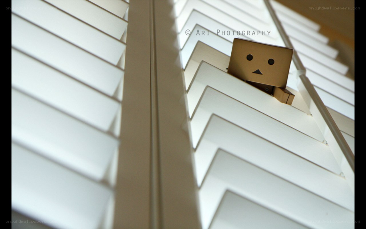 Danbo on white stairs