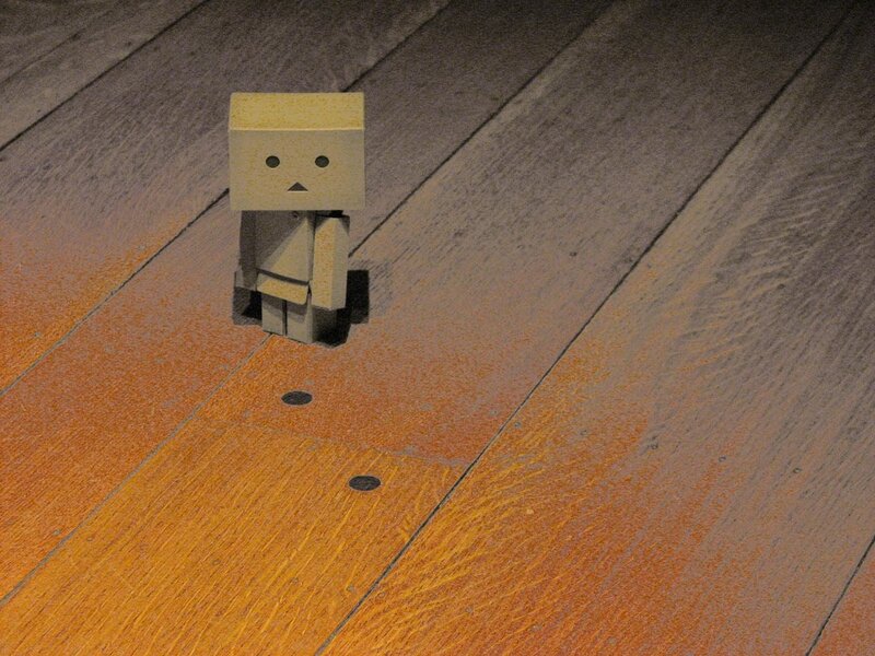 Danbo on wooden floor