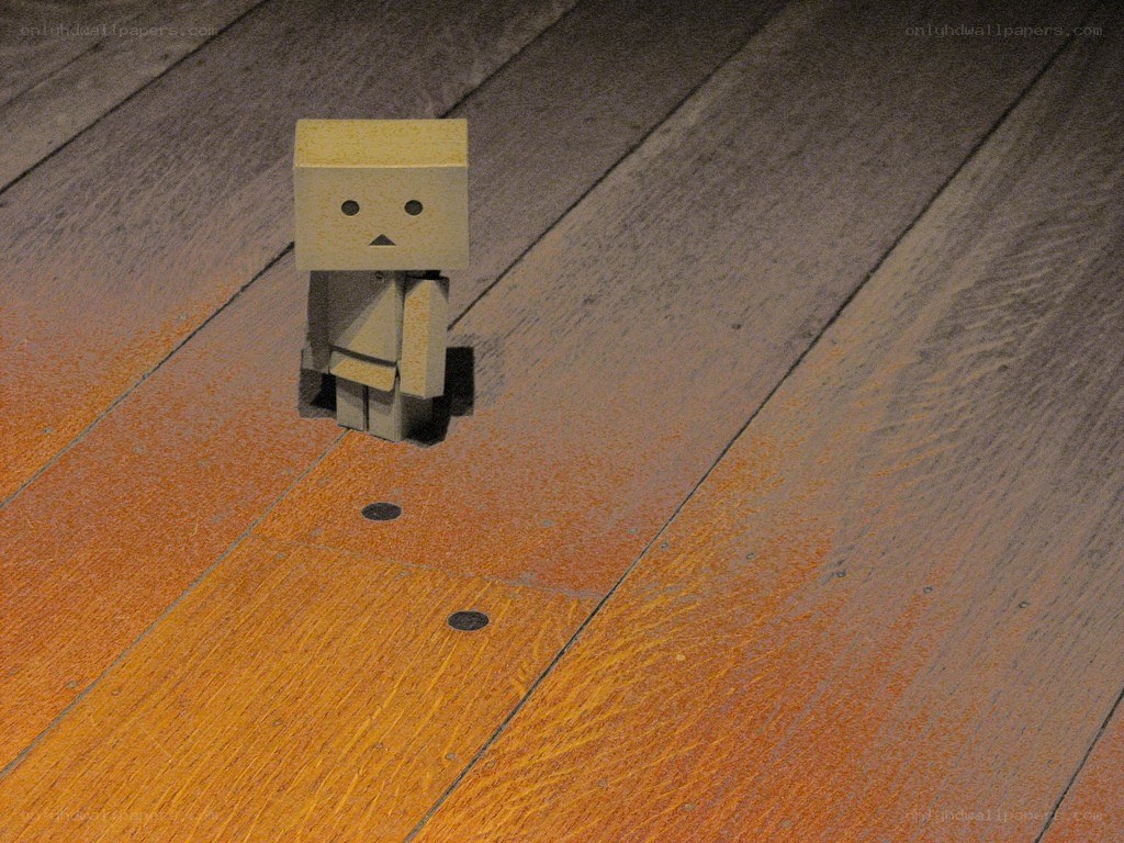 Danbo on wooden floor