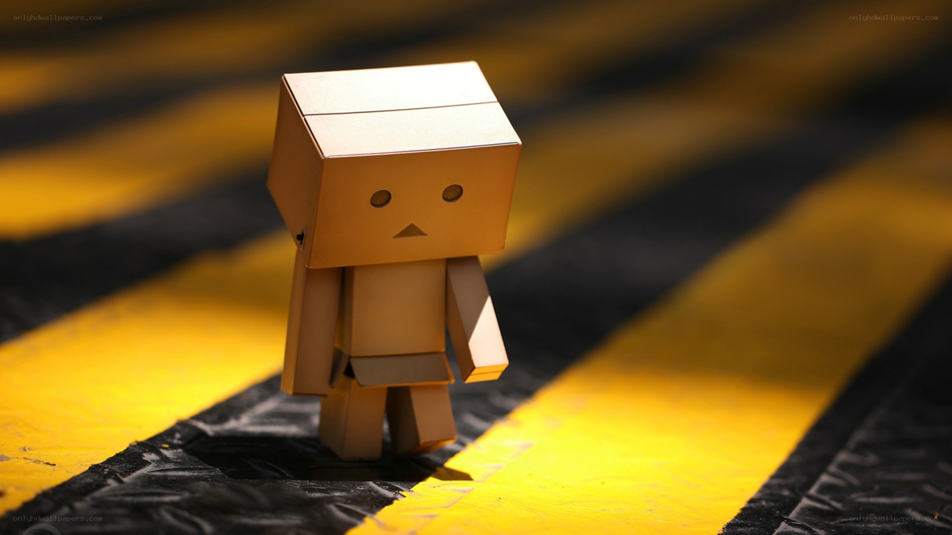 Danbo on yellow stripes