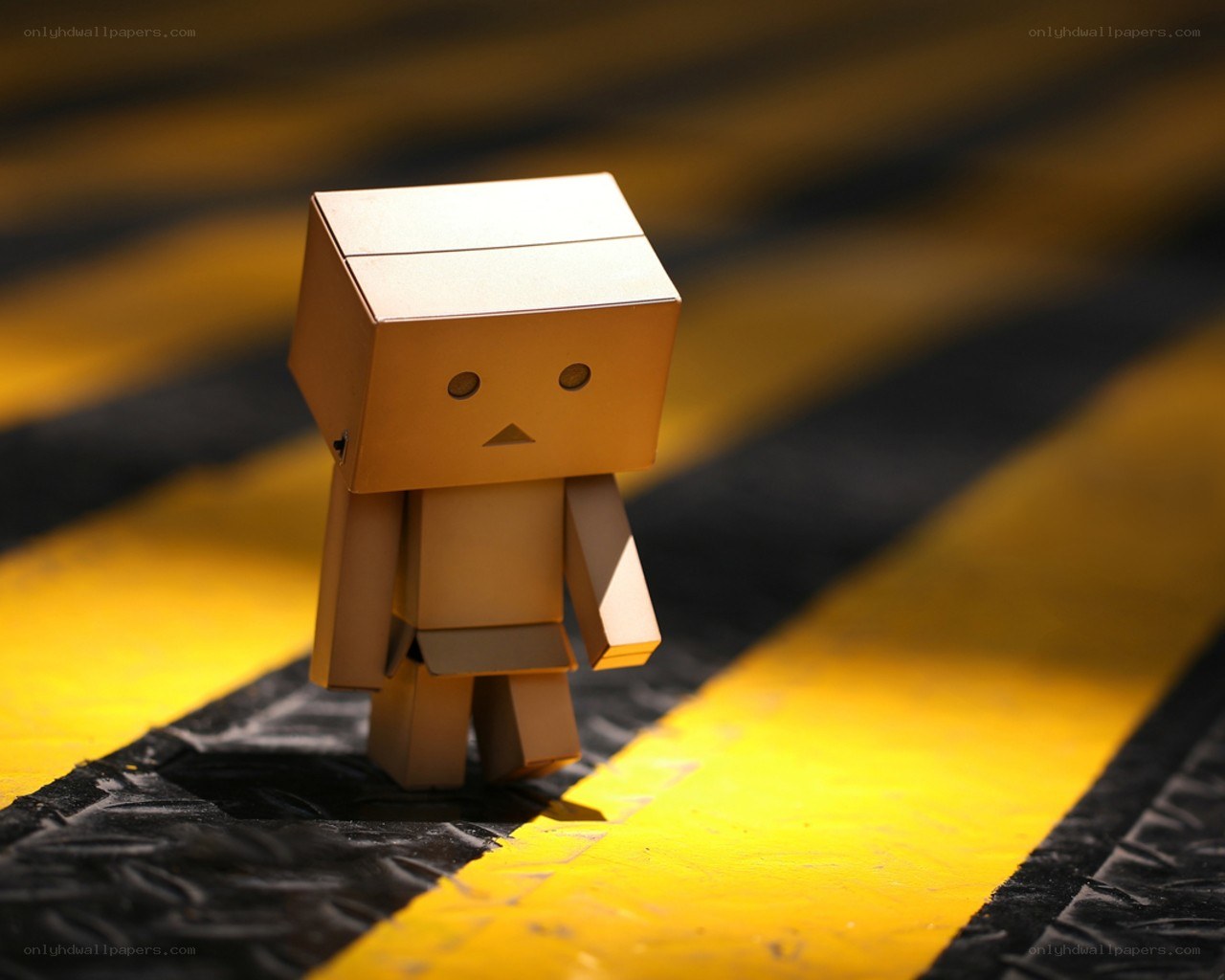 Danbo on yellow stripes