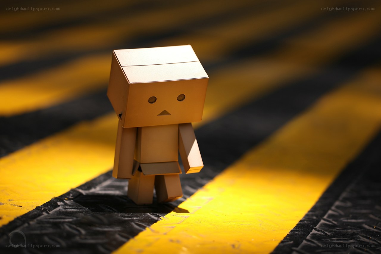 Danbo on yellow stripes