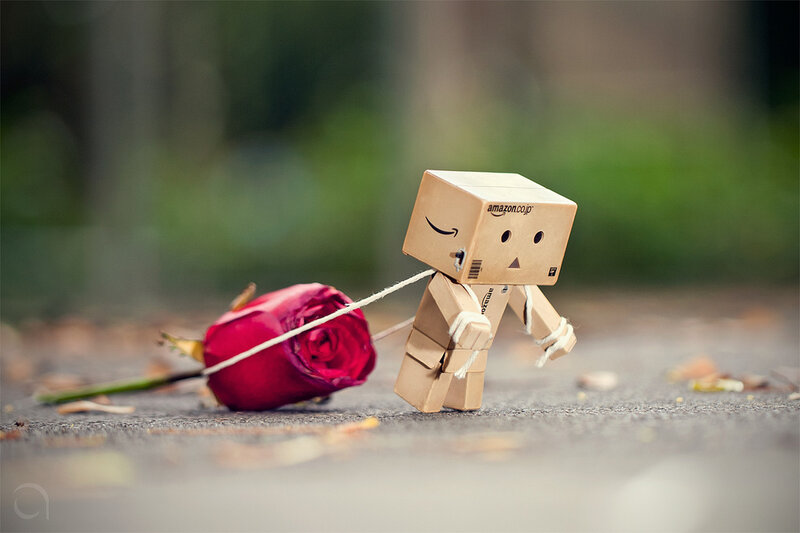 Danbo pulling a rose