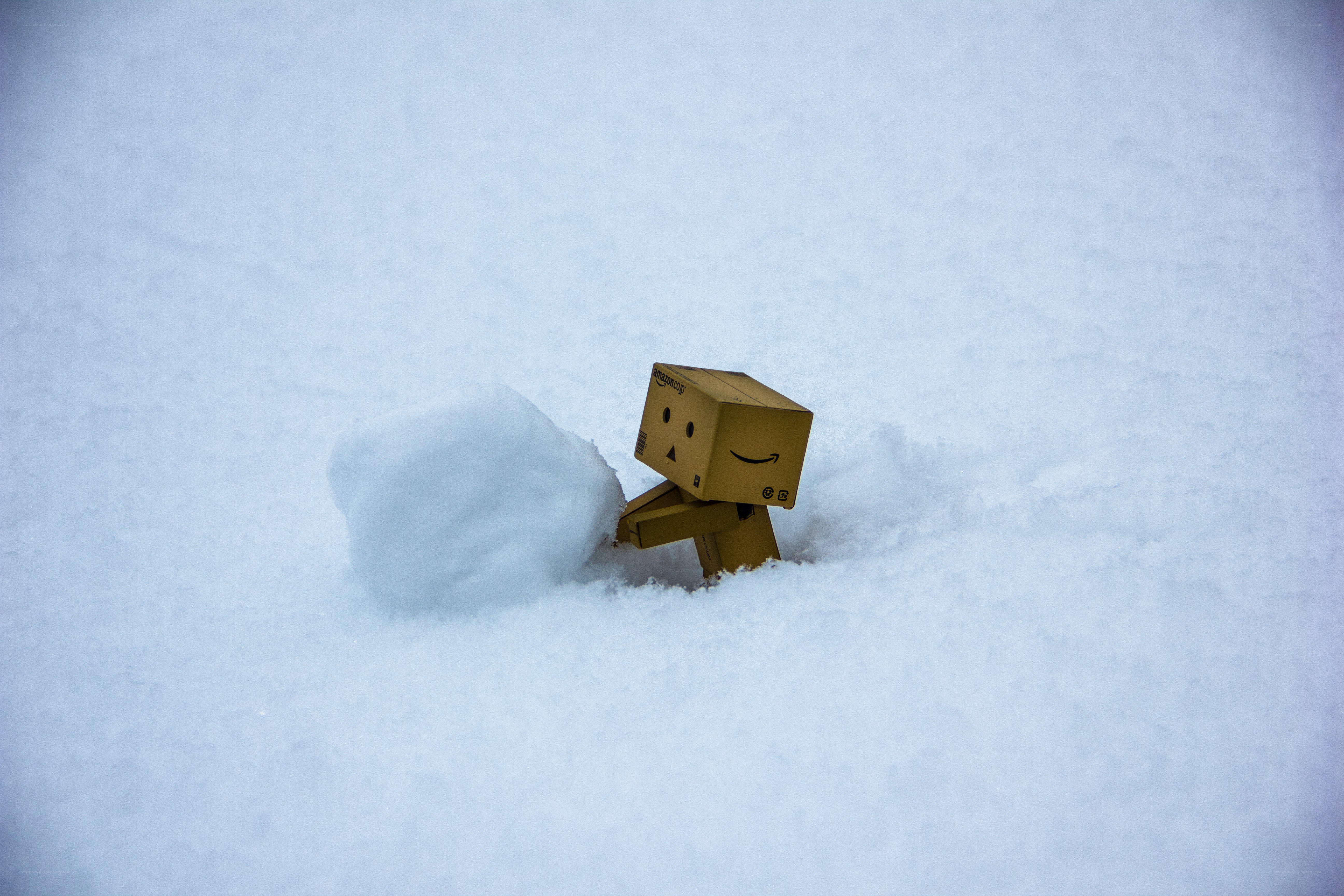 Danbo pushing snowball