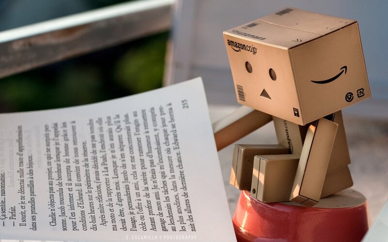 Danbo reading a book