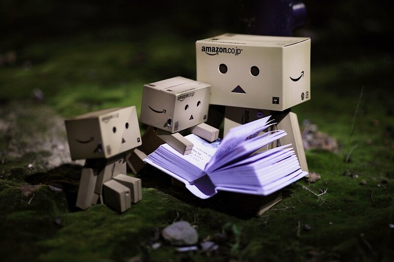 Danbo reading in the forest