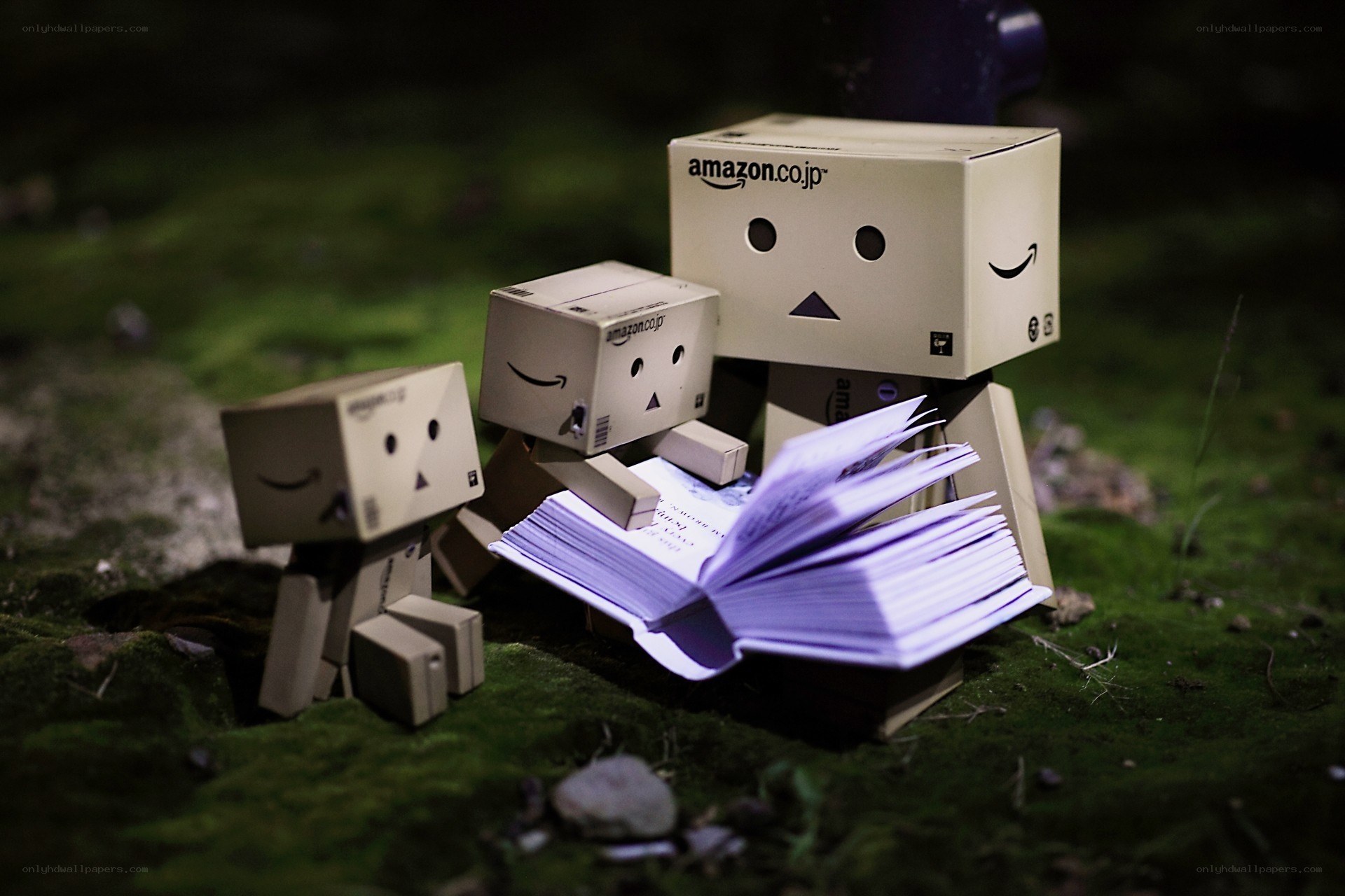 Danbo reading in the forest