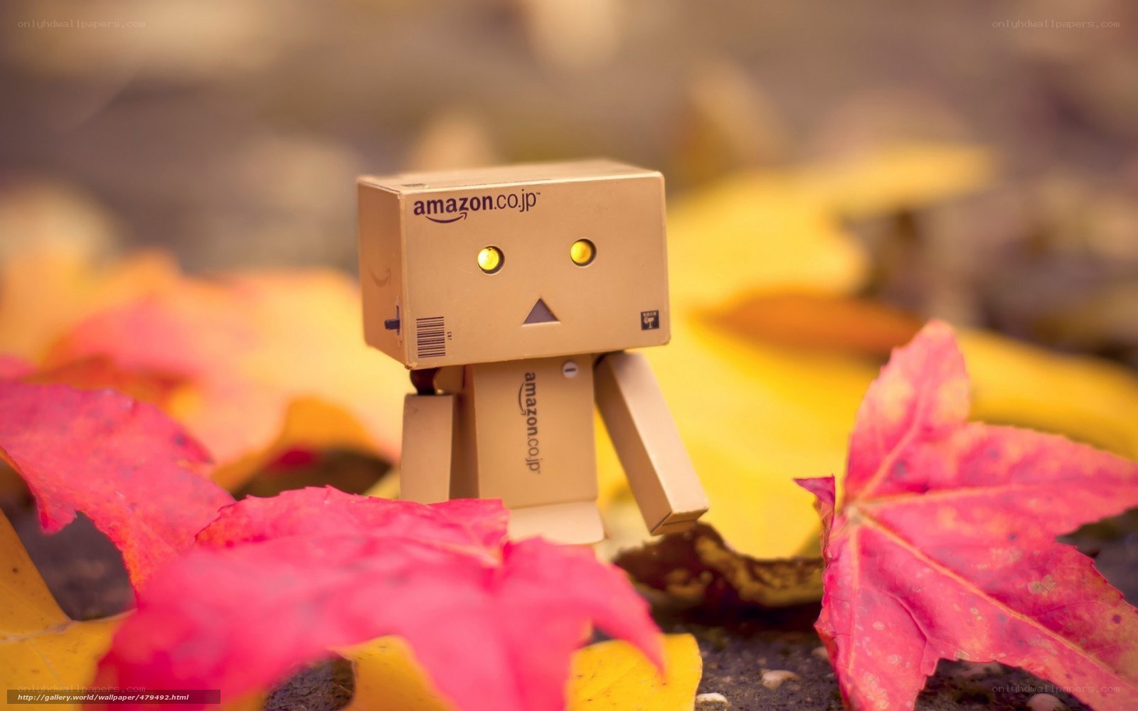 Danbo robot among autumn leaves