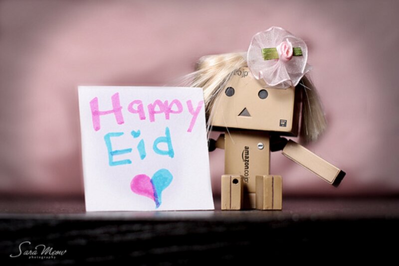 Danbo Robot Doll