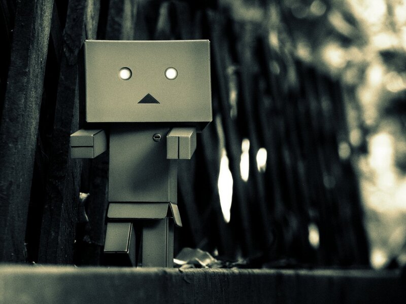 Danbo robot in dark forest