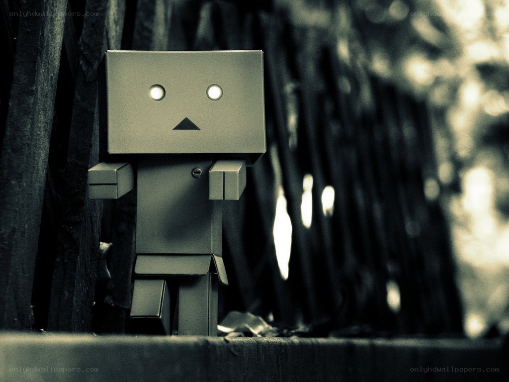 Danbo robot in dark forest