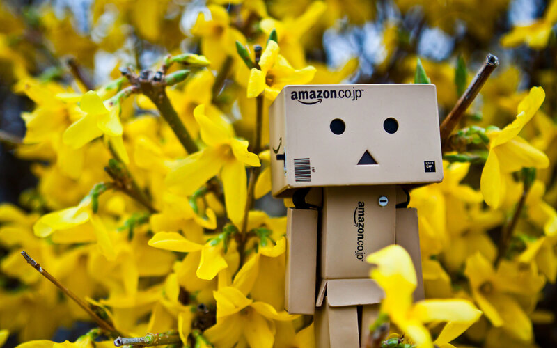 Danbo Robot in Flowers