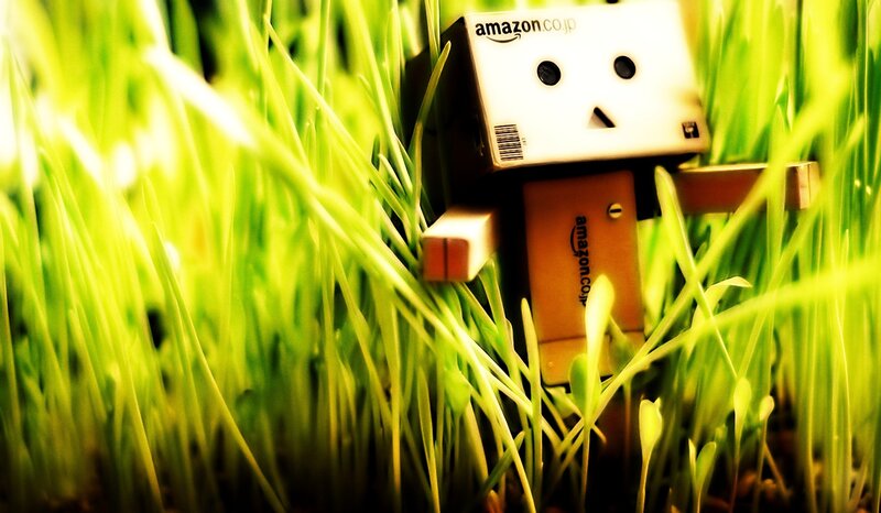Danbo Robot in Grass