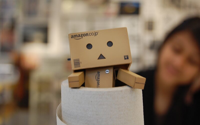 Danbo robot on cardboard