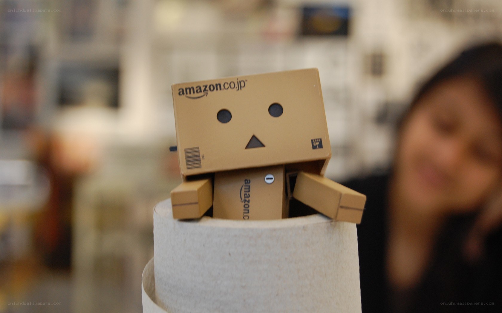 Danbo robot on cardboard