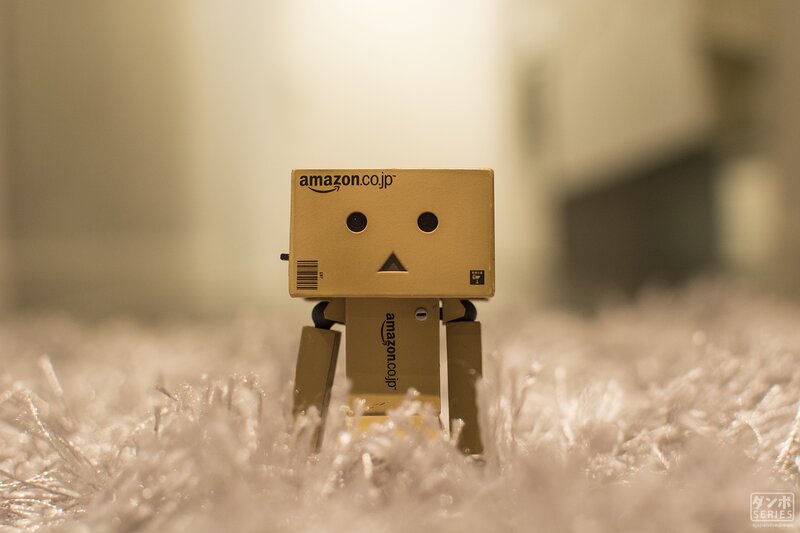 Danbo Robot on Carpet