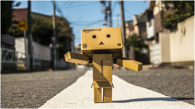 Danbo Robot on Street