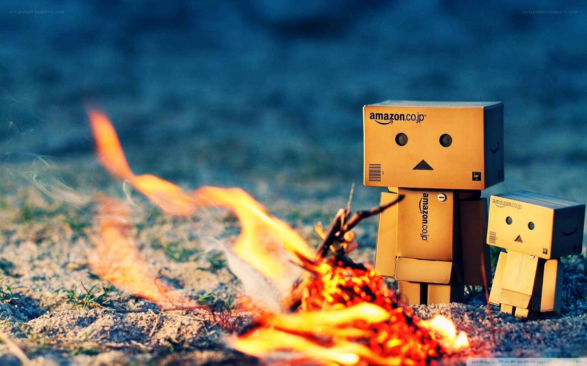 Danbo robots by campfire
