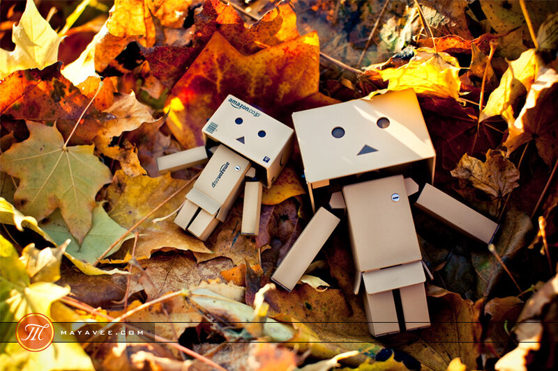 Danbo robots in autumn leaves