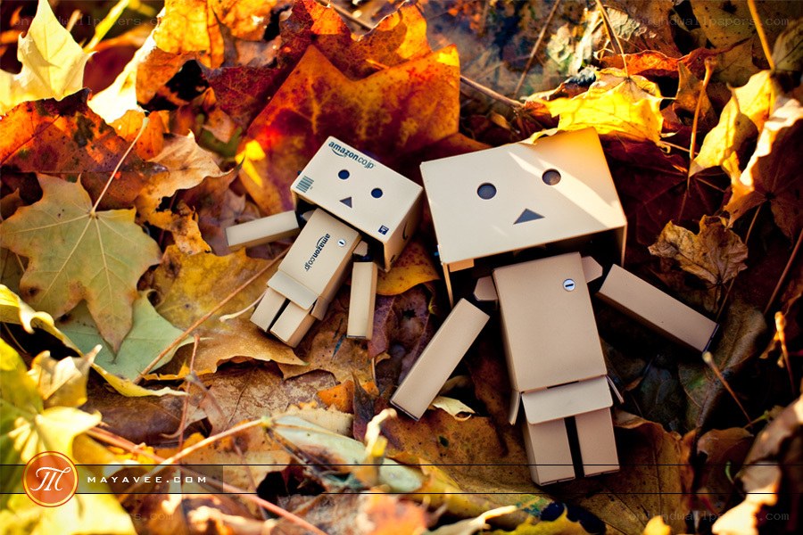 Danbo robots in autumn leaves
