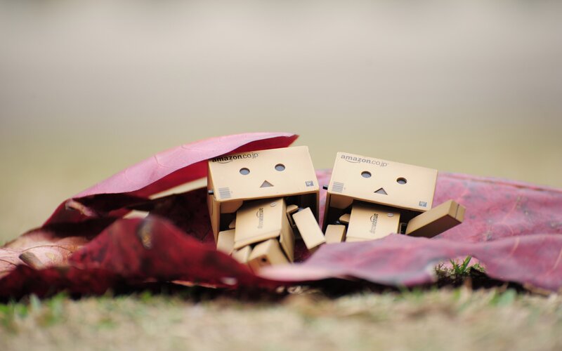 Danbo robots under a leaf