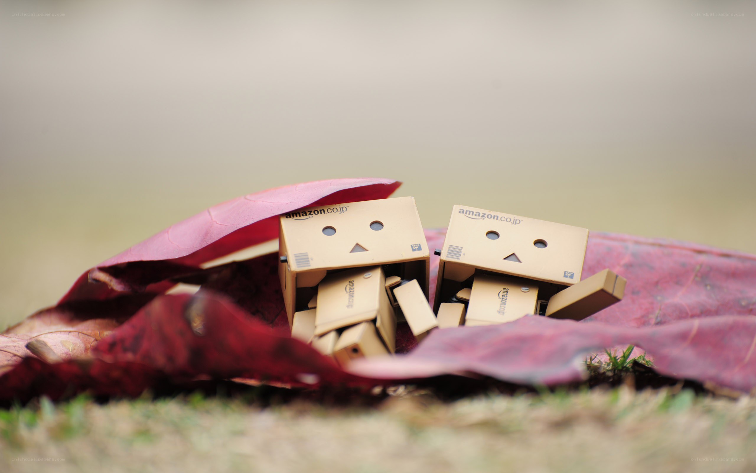 Danbo robots under a leaf