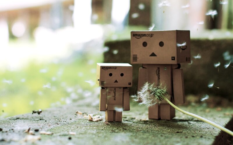 Danbo robots with dandelion