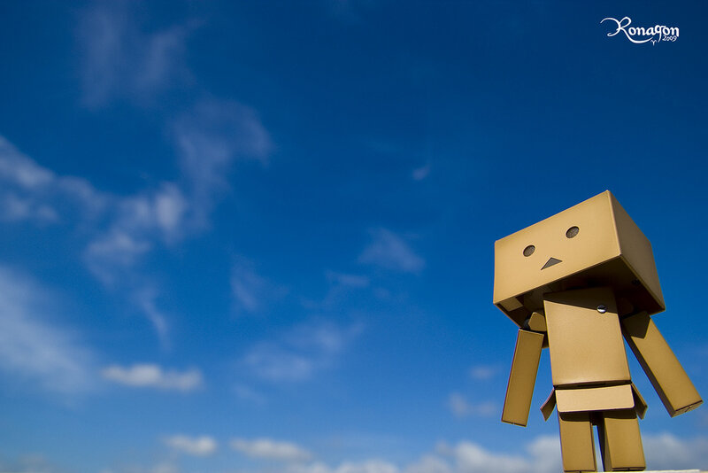 Danbo stands against the sky
