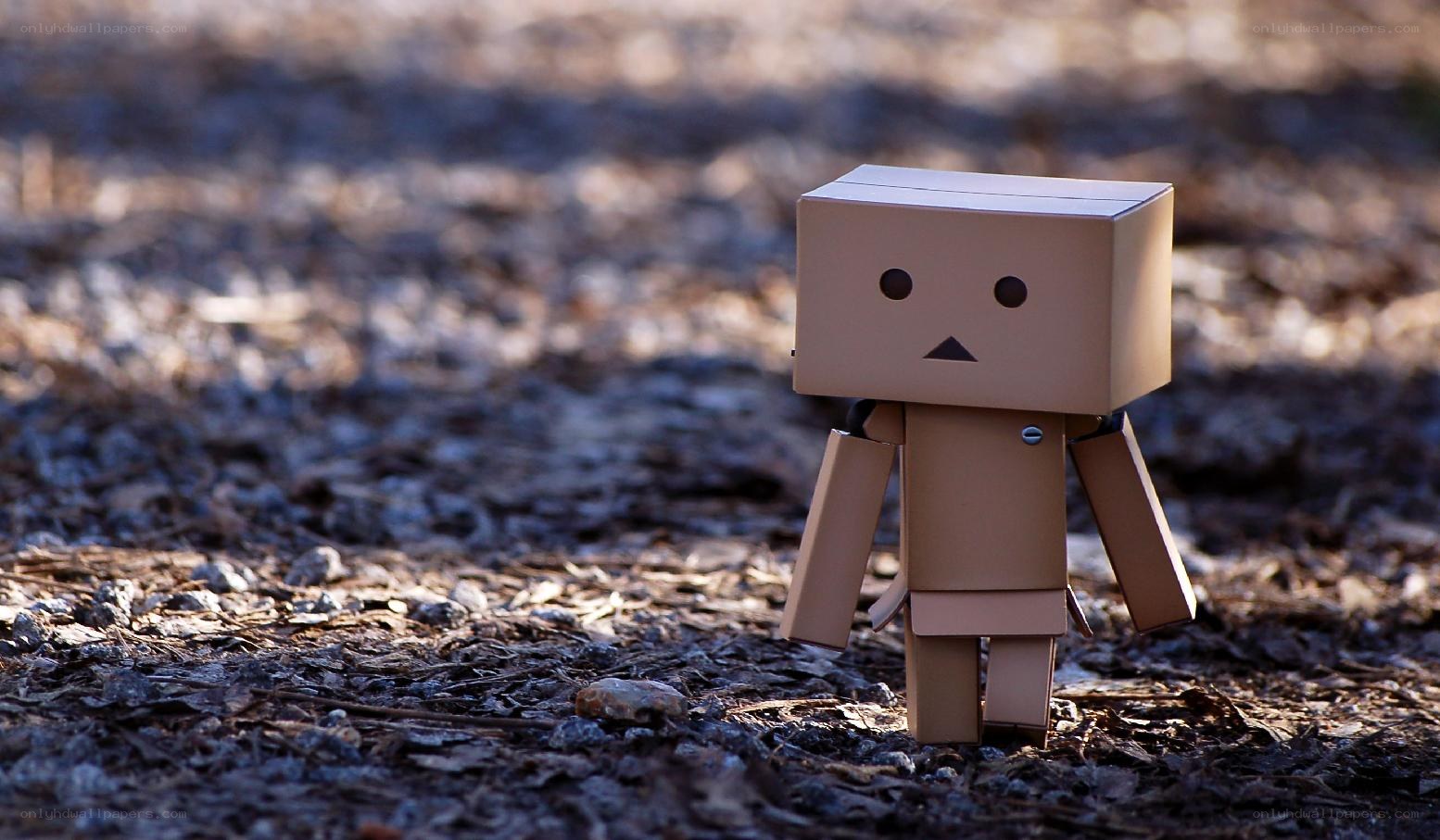Danbo stands alone