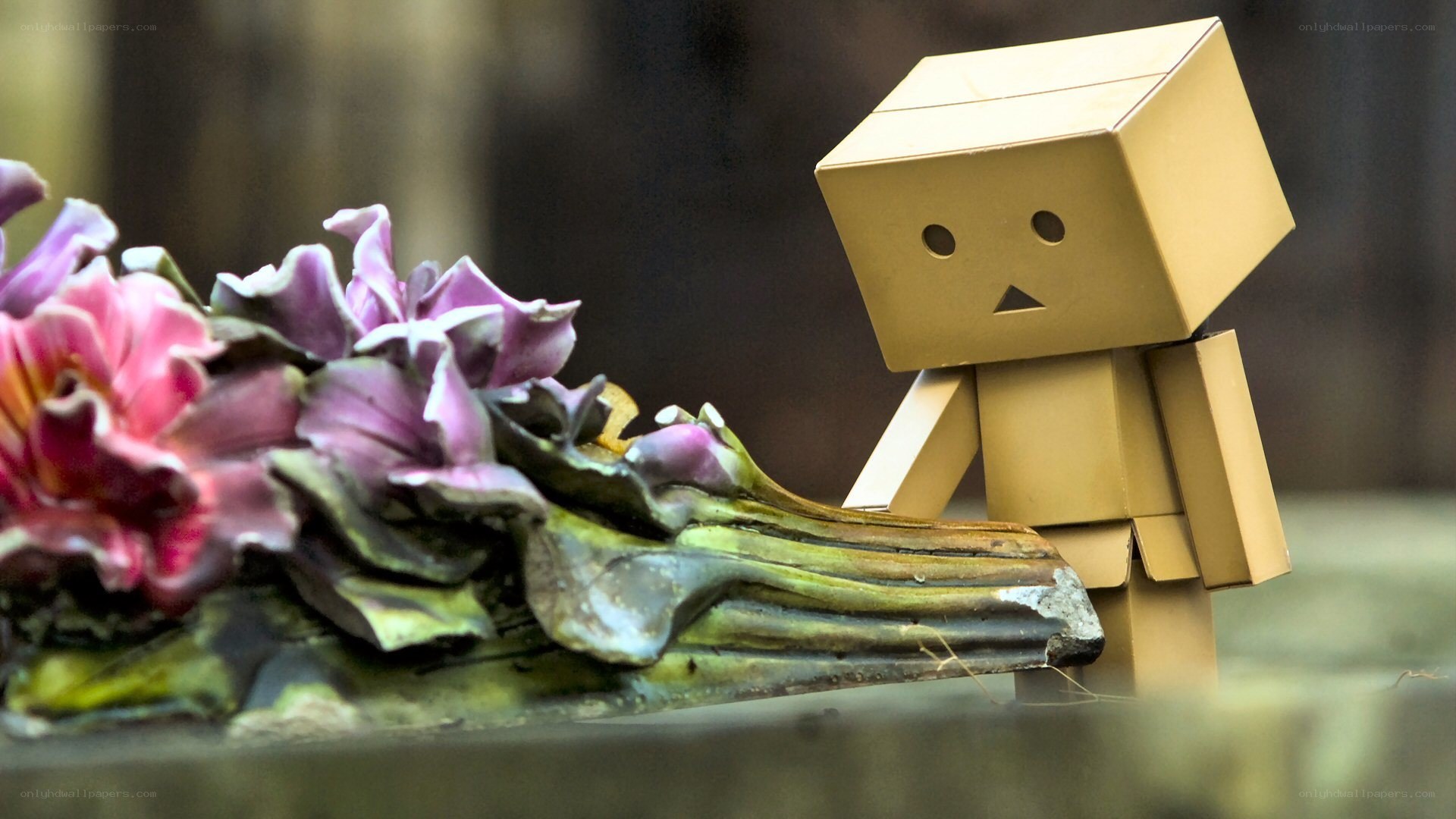 Danbo stands beside flowers