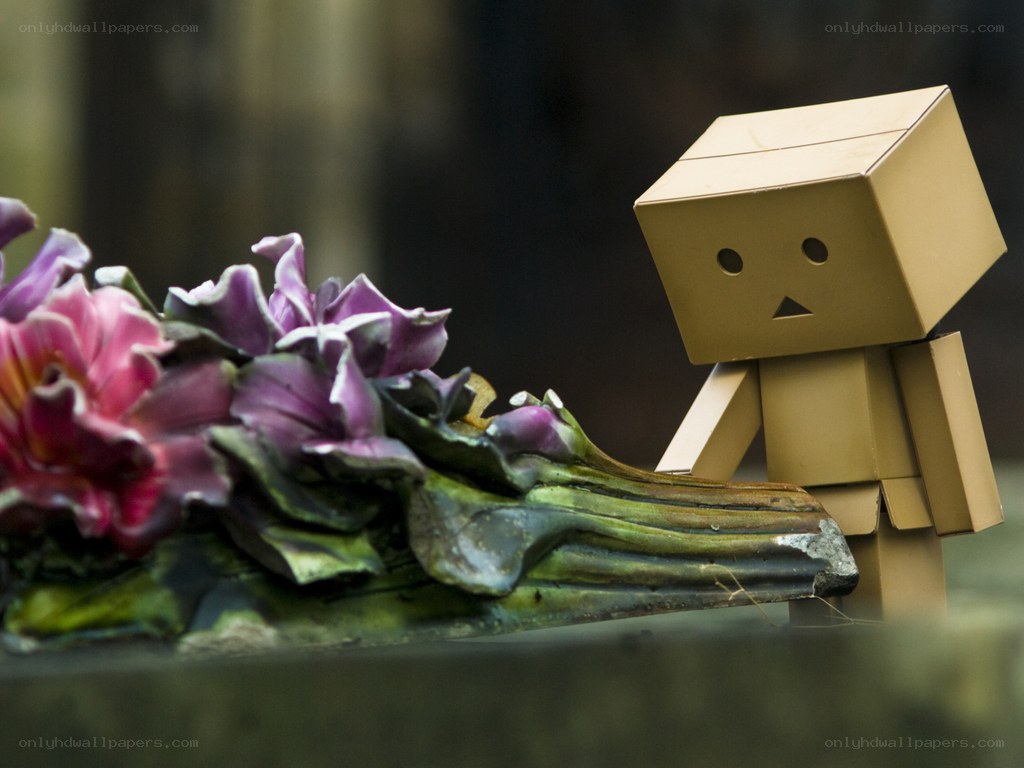 Danbo stands by flowers